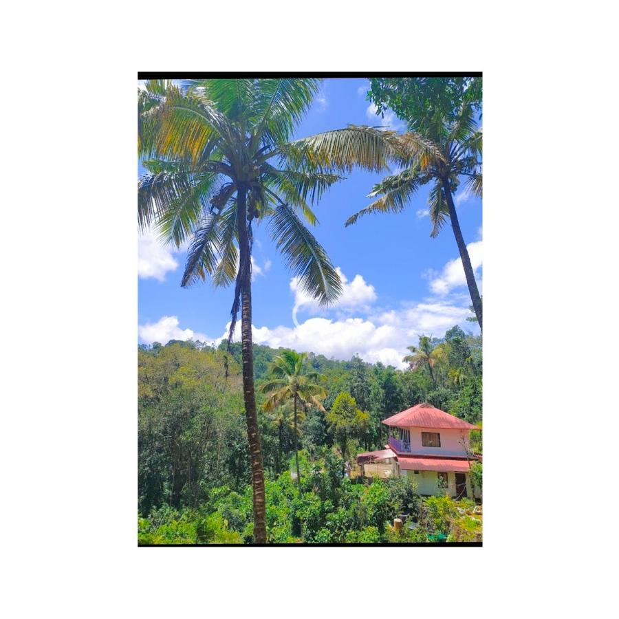 Athens Cottage Munnar Exterior photo