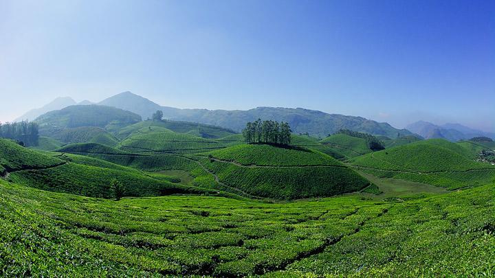 Athens Cottage Munnar Exterior photo