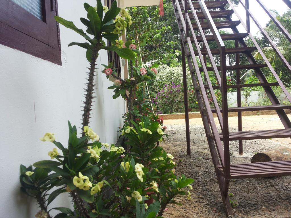 Athens Cottage Munnar Exterior photo