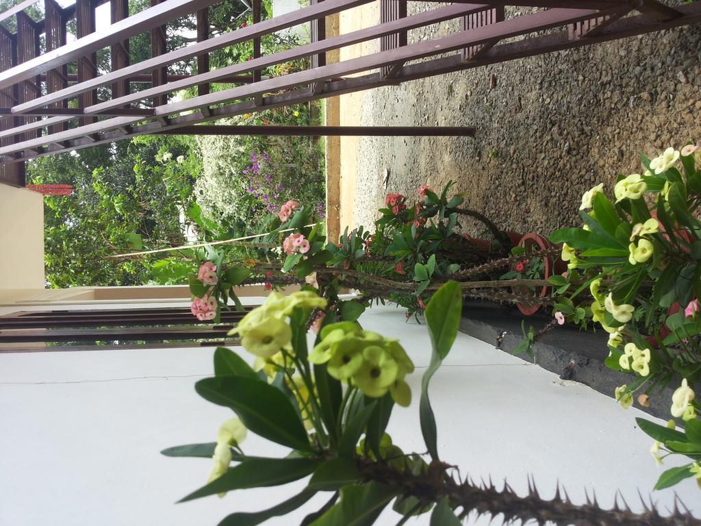 Athens Cottage Munnar Exterior photo