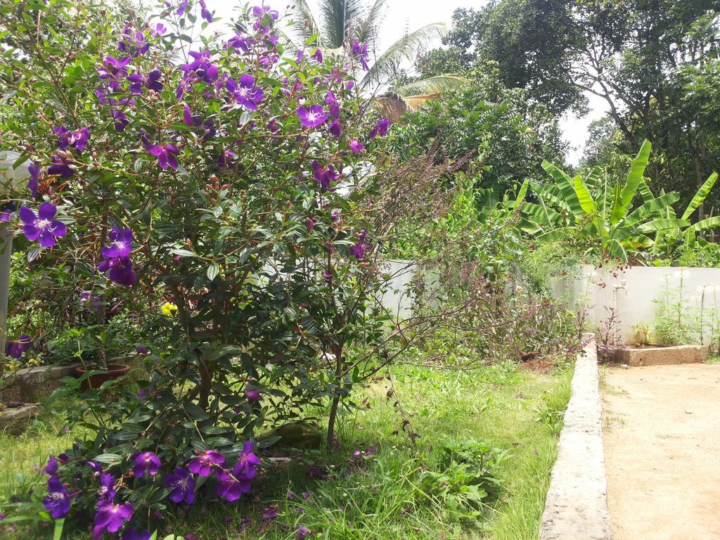 Athens Cottage Munnar Exterior photo